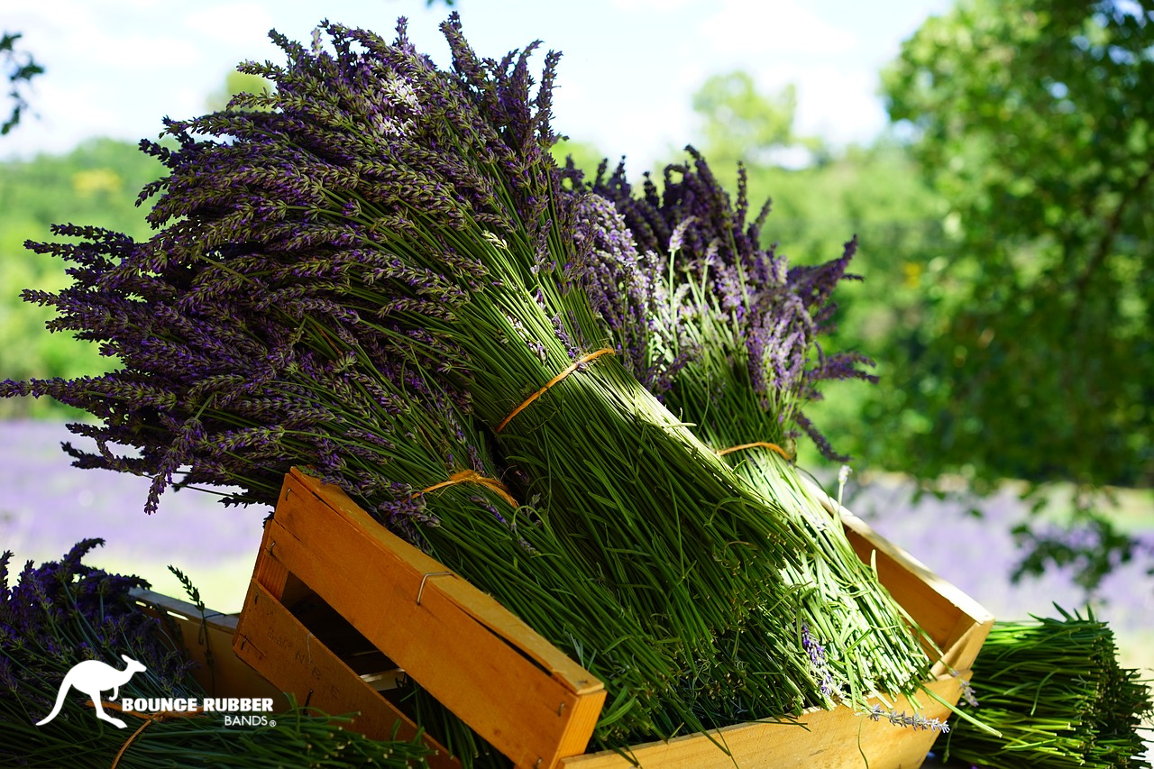 Customised Wholesale Rubber Bands: Brand Identity Through Functional Packaging&nbsp;