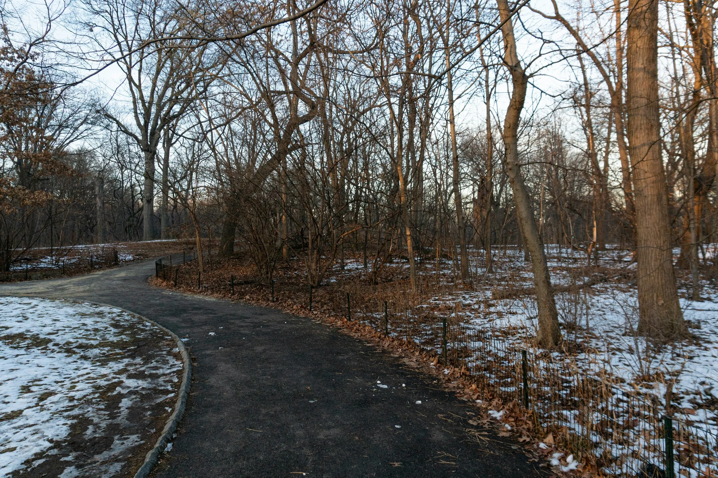 Running Central Park