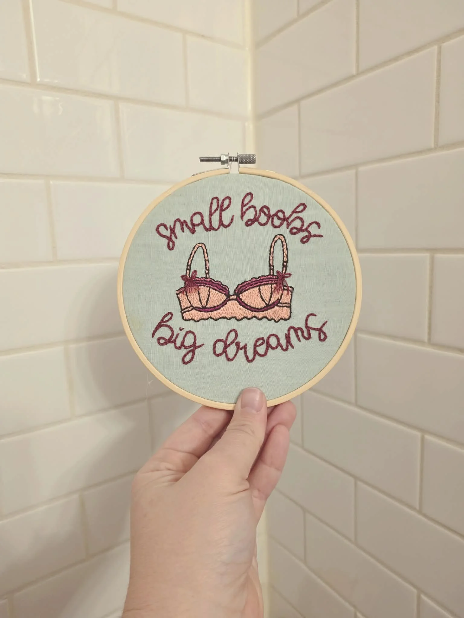 (SMALL STAIN) "small boobs, big dreams" - hand embroidered hoop art
