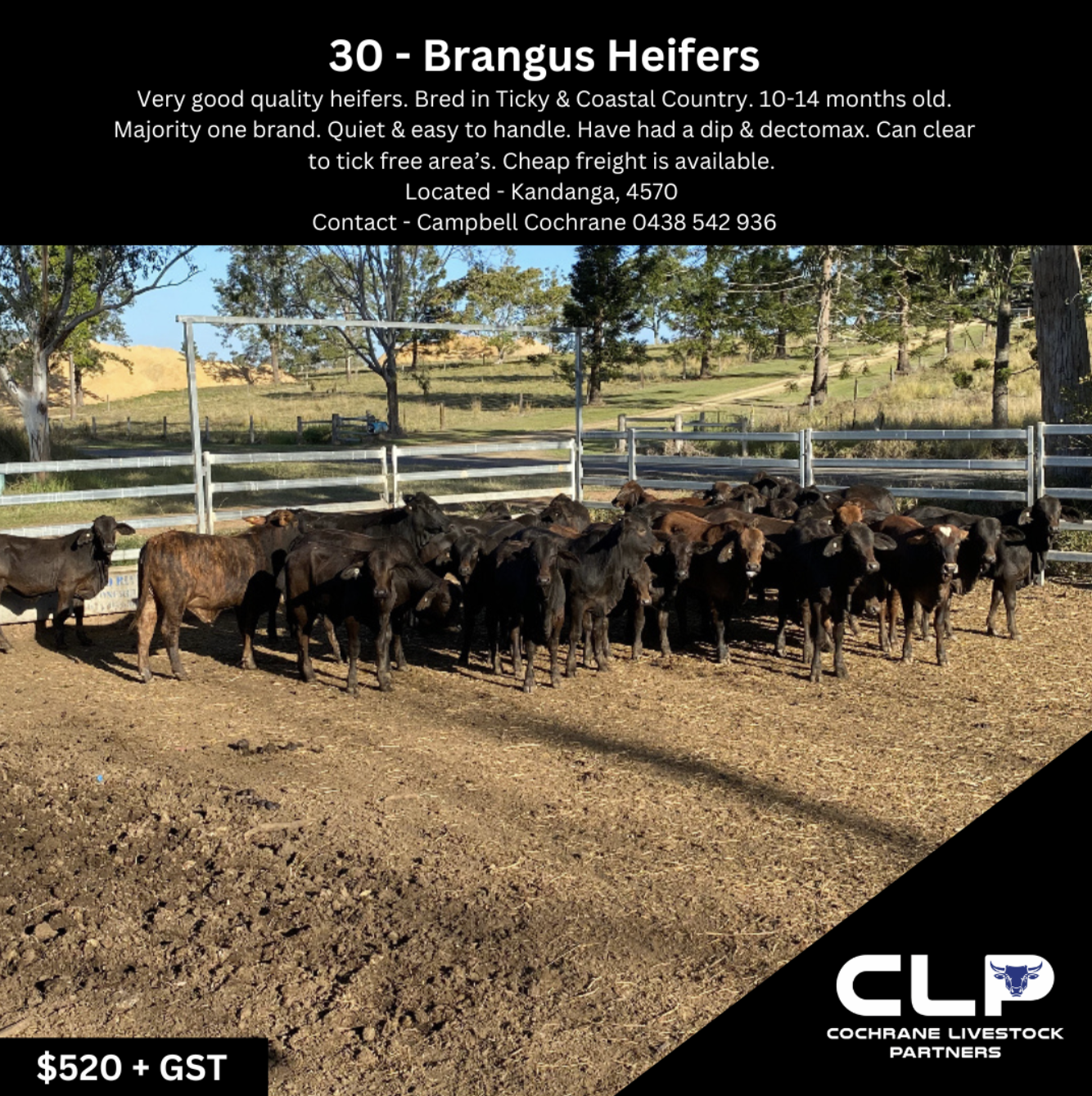 Screenshot 2023-08-30 at 2.20.41 pm.png