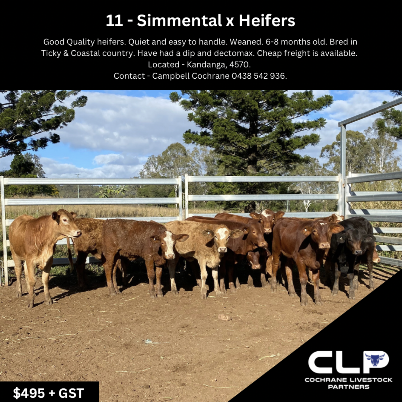 Screenshot 2023-08-30 at 2.08.33 pm.png