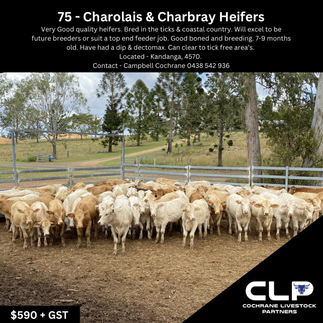 Screenshot 2023-09-07 at 9.30.51 am.png