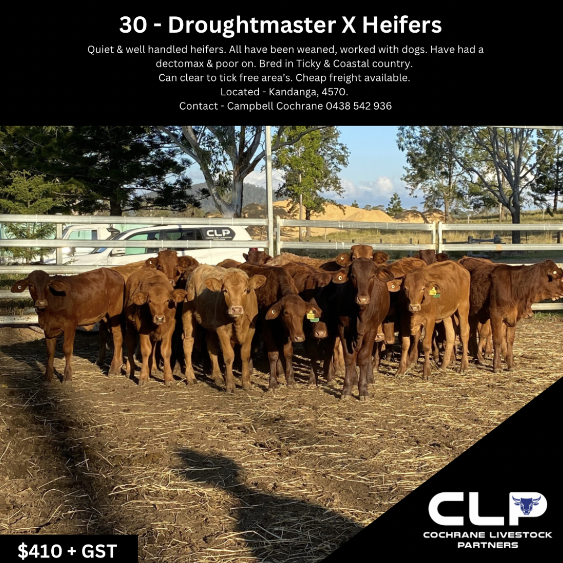 Screenshot 2023-09-07 at 9.42.09 am.png