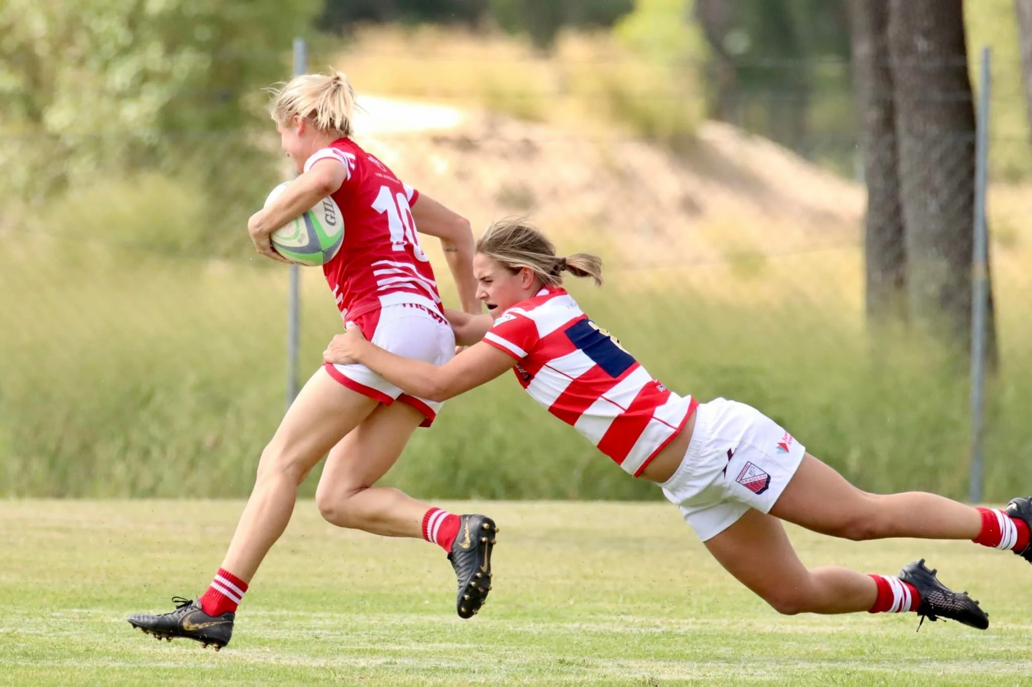 Seniors — Downs Rugby Union