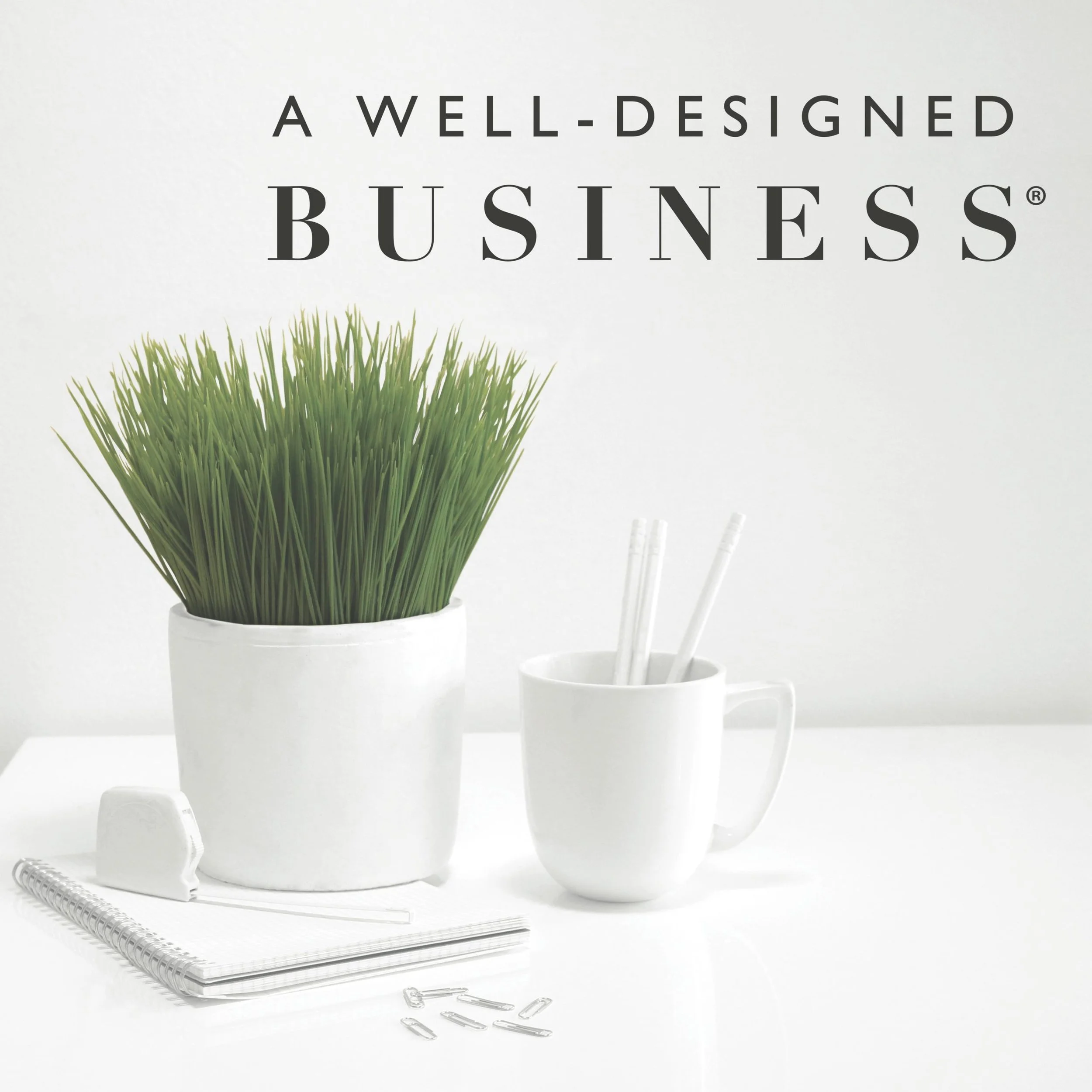 A Well Designed Business Podcast - Episode 864 "Lesson From an Interior Design Operations Manager"