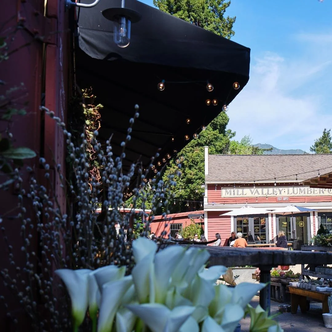 October Events Highlights: Pets, Sports &amp; Community
From playful pet and heart-pumping runs to creative community celebrations, this month invites you to get outside, connect, and celebrate what makes Marin so special. Here&rsquo;s what&rsquo;s h