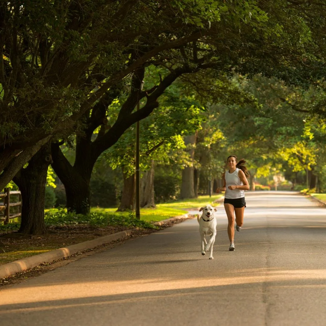 🎶🏃 November Highlights: Music &amp; Sports

Best parts of living in Marin is the energy this time of year &mdash; when crisp mornings, local trails, and live music all come together. Whether you&rsquo;re out riding, running, or enjoying great tunes