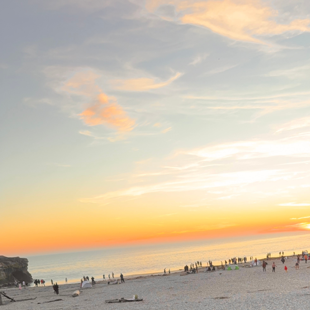 Thanksgiving in Santa Cruz | In Contract | Marin Sales Up 14% | The Holiday Ride &amp; Lunch