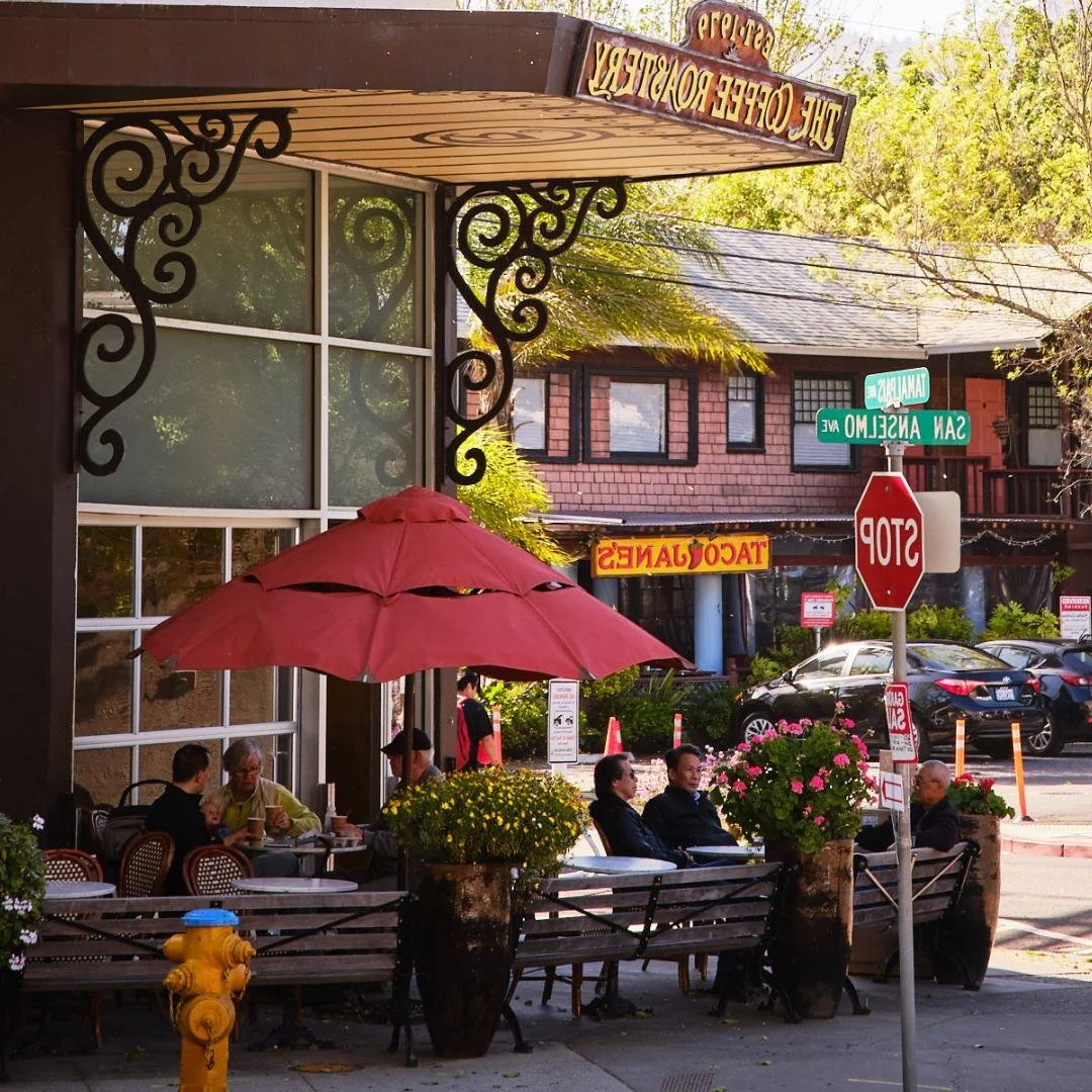 January Highlights: Sports, Food &amp; Community

A fresh year brings new opportunities to enjoy everything Marin has to offer. I share these monthly event roundups to help you plan ahead and experience the lifestyle that makes living here so special