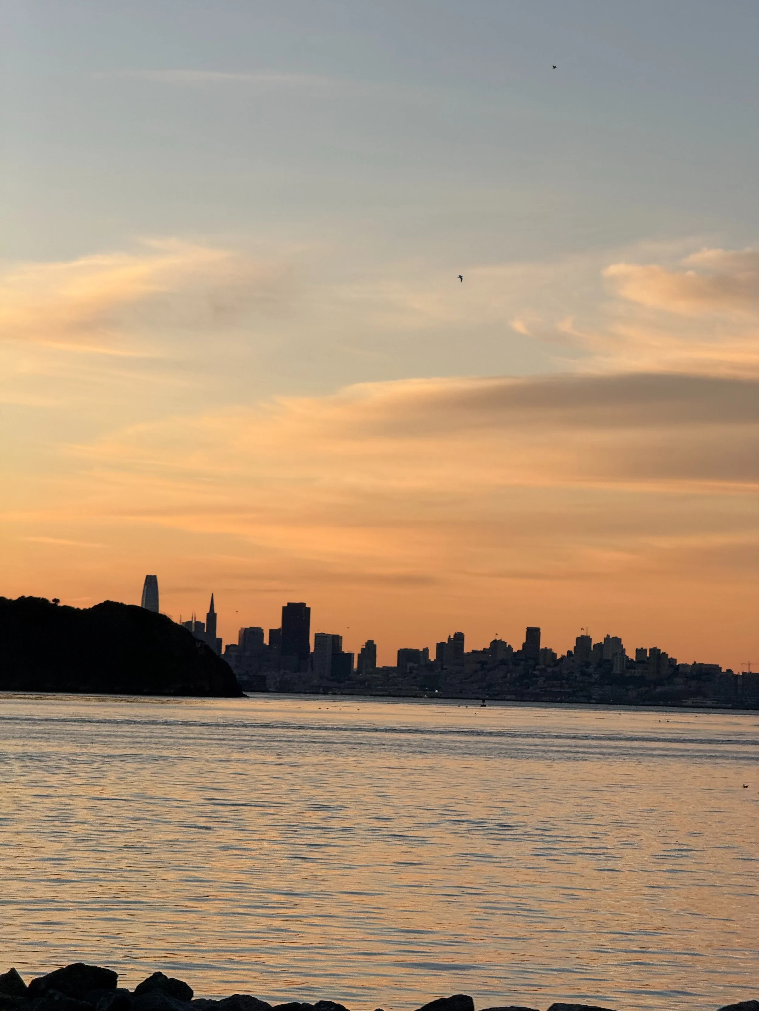 A Personal &amp; Professional Look Back at 2025&nbsp; | Just Sold in San Rafael &amp; Novato | Housing Market Moving Fast | Join me at MCBC’s Big Bike Bash Gala