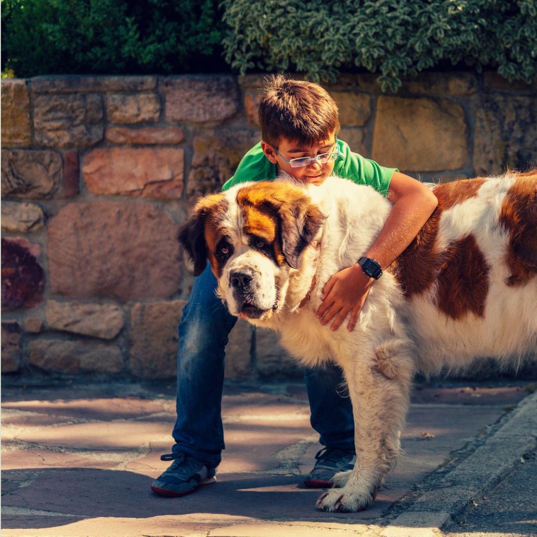 February Highlights: Kids, Food &amp; Pets

February brings plenty of family-friendly fun, fresh food, and opportunities to give back, I share these monthly event roundups to help you plan ahead and enjoy everyday moments that make living in Marin so