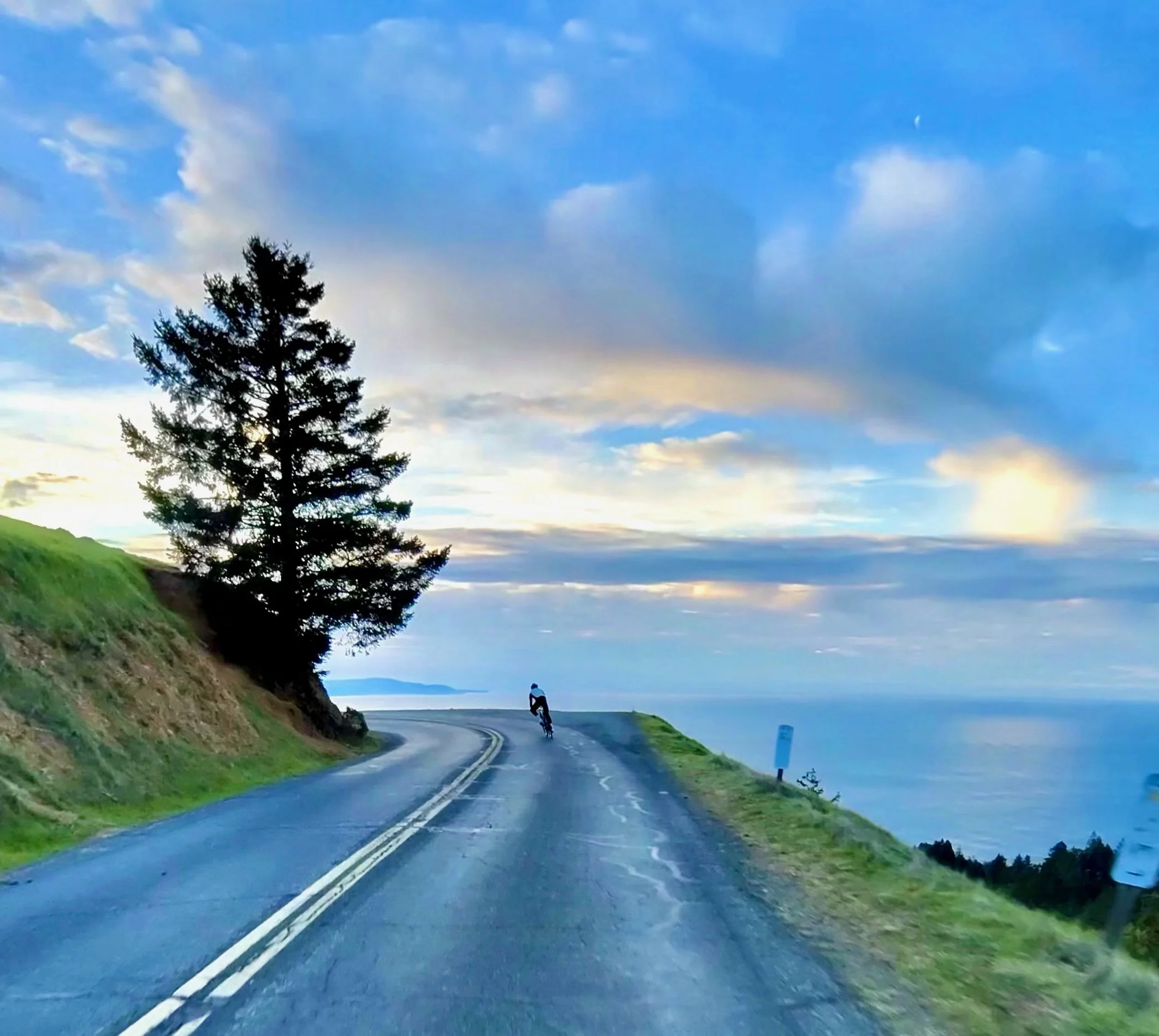 Mt. Tam Challenge &amp; Ryder’s First Gymnastics Competition | Client Win in San Anselmo | Surging Marin Market&nbsp; + MCBC Big Bike Bash