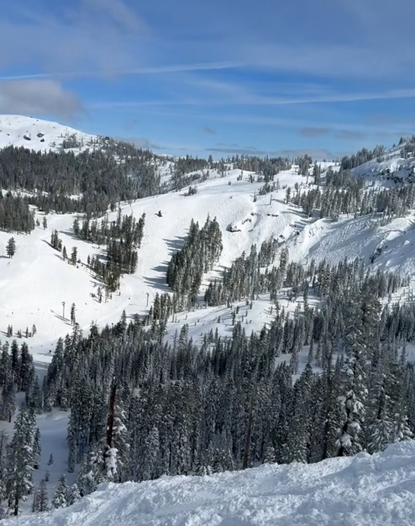 Chasing Powder and Winter Olympics Dreams | Client Win in San Anselmo | Marin Market Surges | Invitation to a Yoga Event