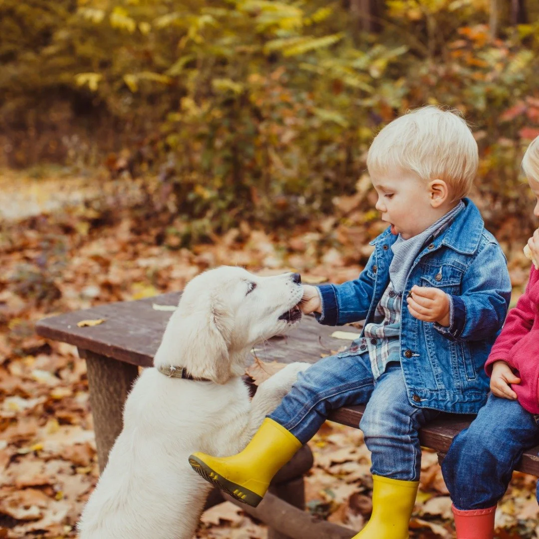 April Highlights: Kids and Pets 🐾🧒

April is all about staying active and giving back. Between my son&rsquo;s gymnastics and the local real estate market, I&rsquo;m reminded how important community spaces are where kids can grow and pets find their