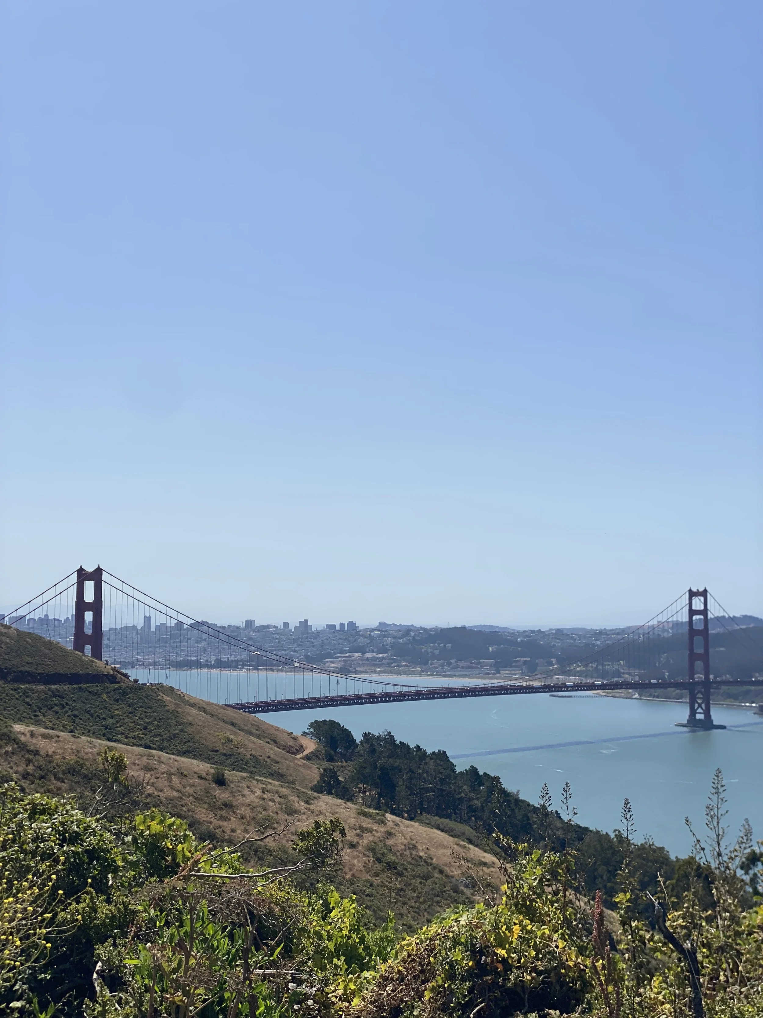 IMG_3180.jpeg