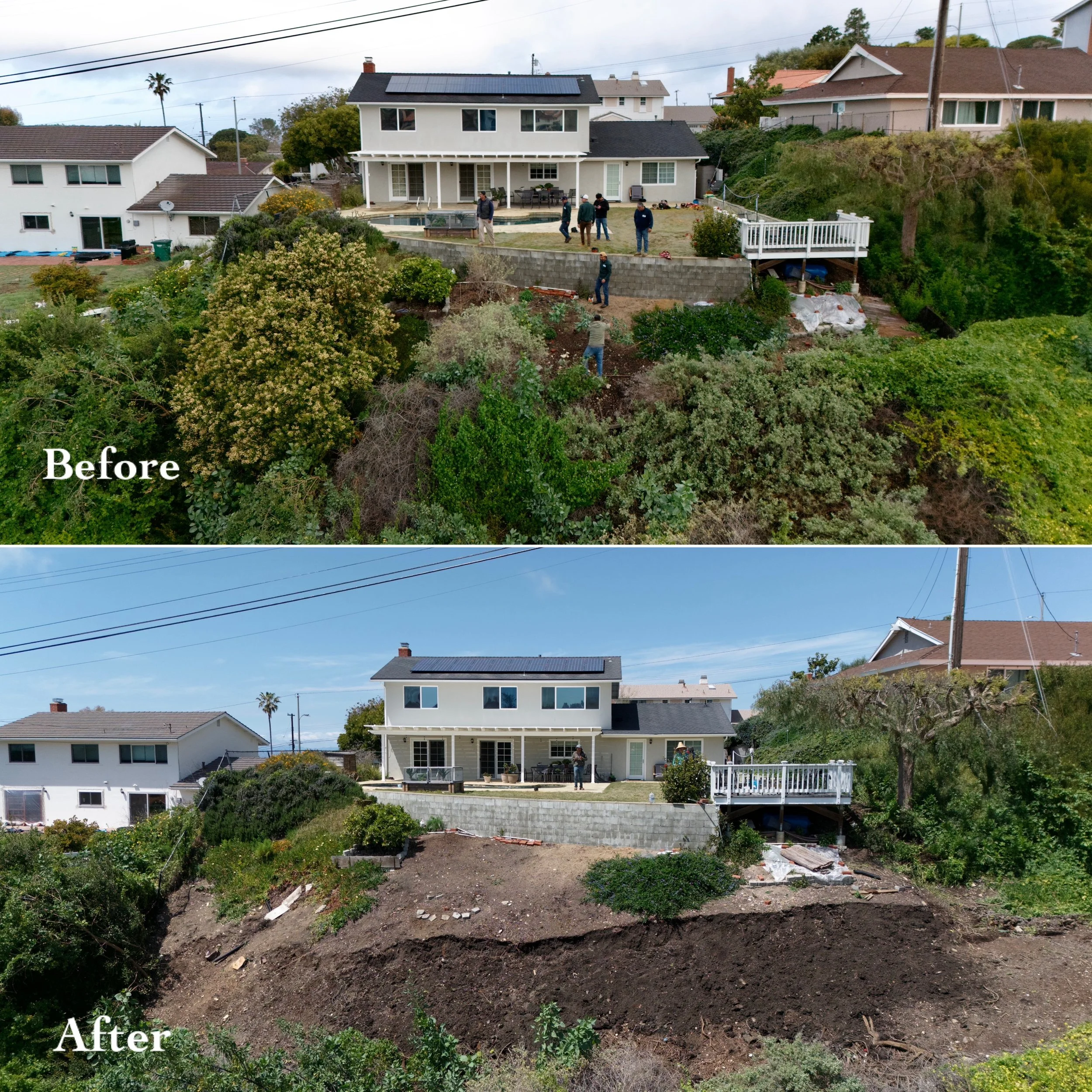 rancho palos verdes brush clearance