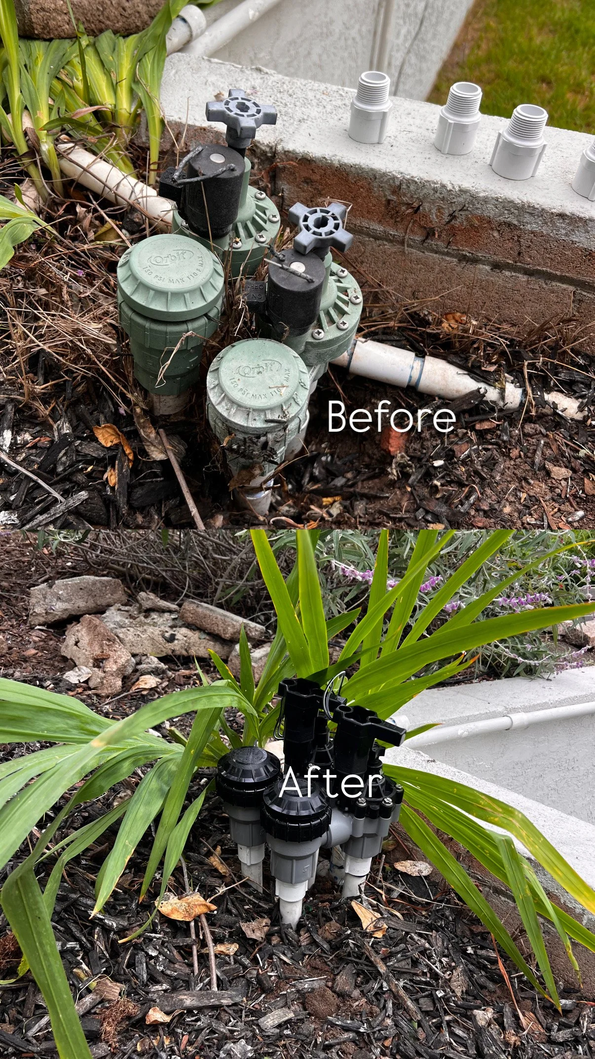 irrigation repair San pedro.JPG