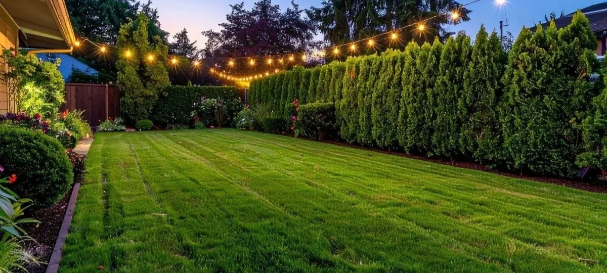 Top 5 Landscaping Ideas for Your Long Beach Yard