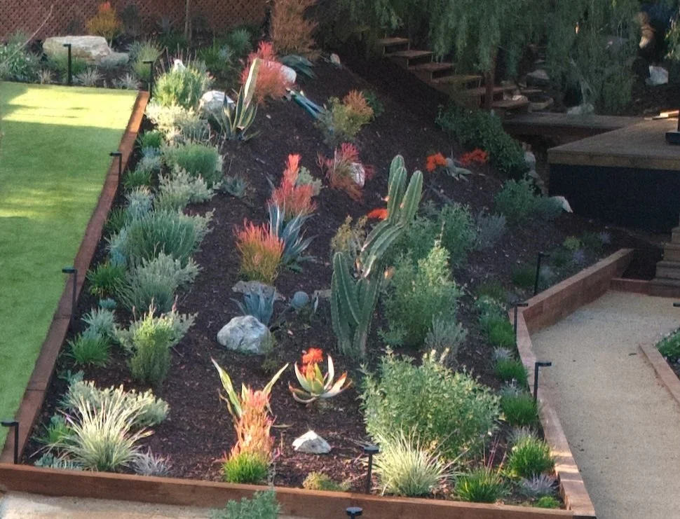 Native Planting in Rancho Palos Verdes, CA 90725