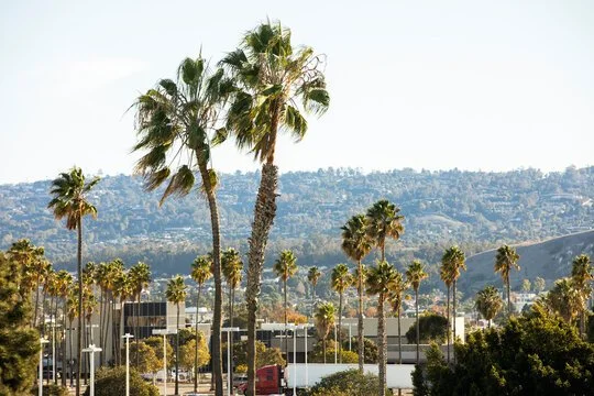 torrance ca