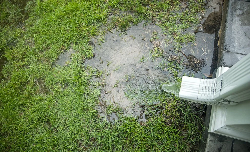 yard drainage systems San Pedro