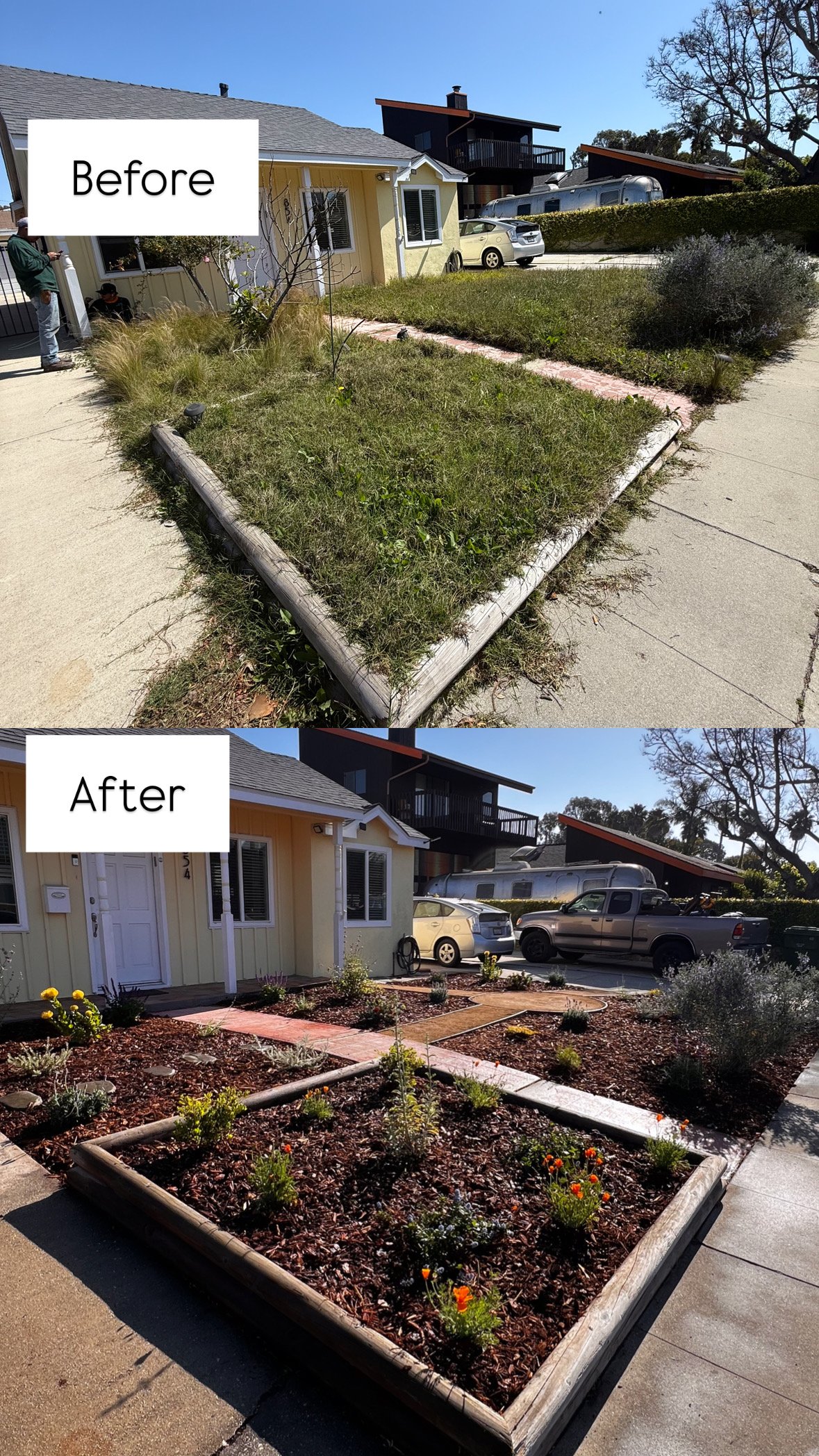 yard service in torrance california