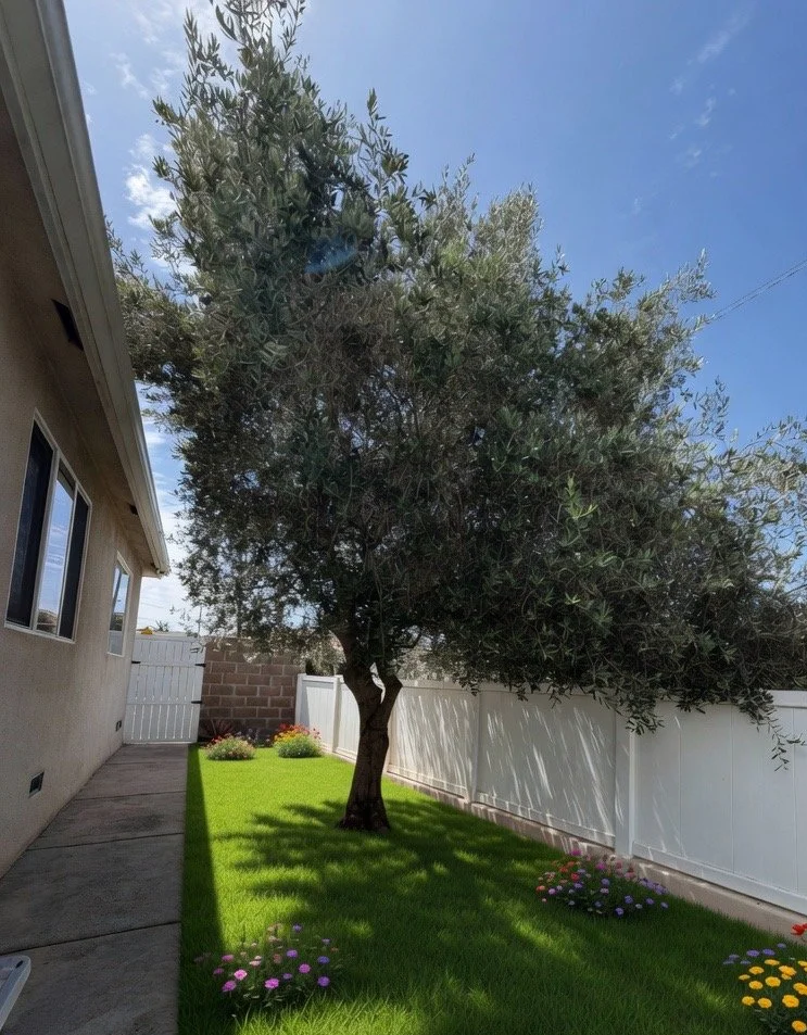 tree planting in palos verdes