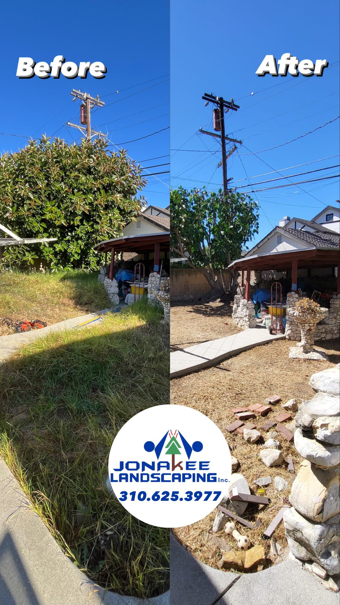 Yard Clean Up San Pedro