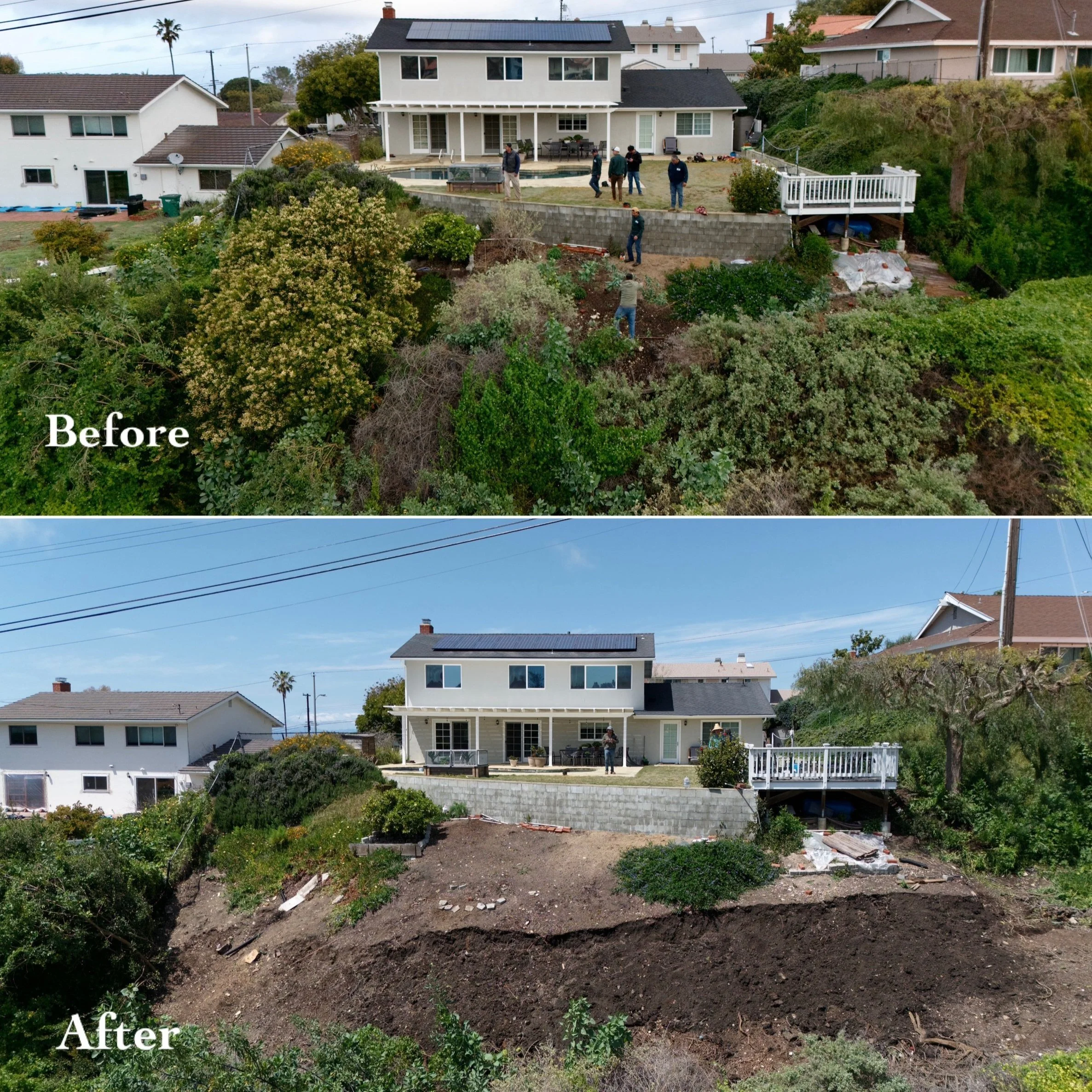 hillside brush cleanup torrance ca