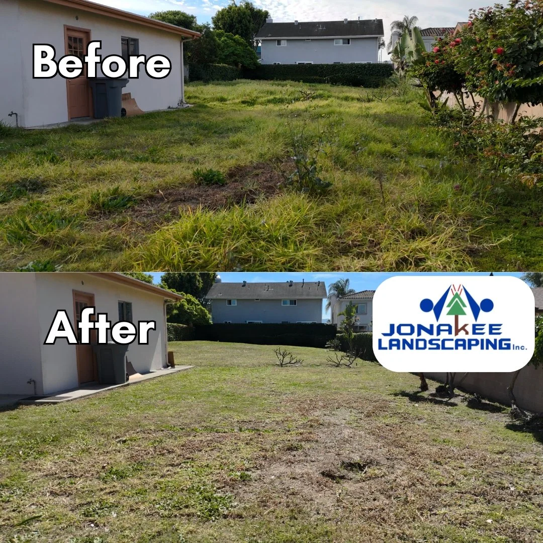 Palos Verdes Brush Removal