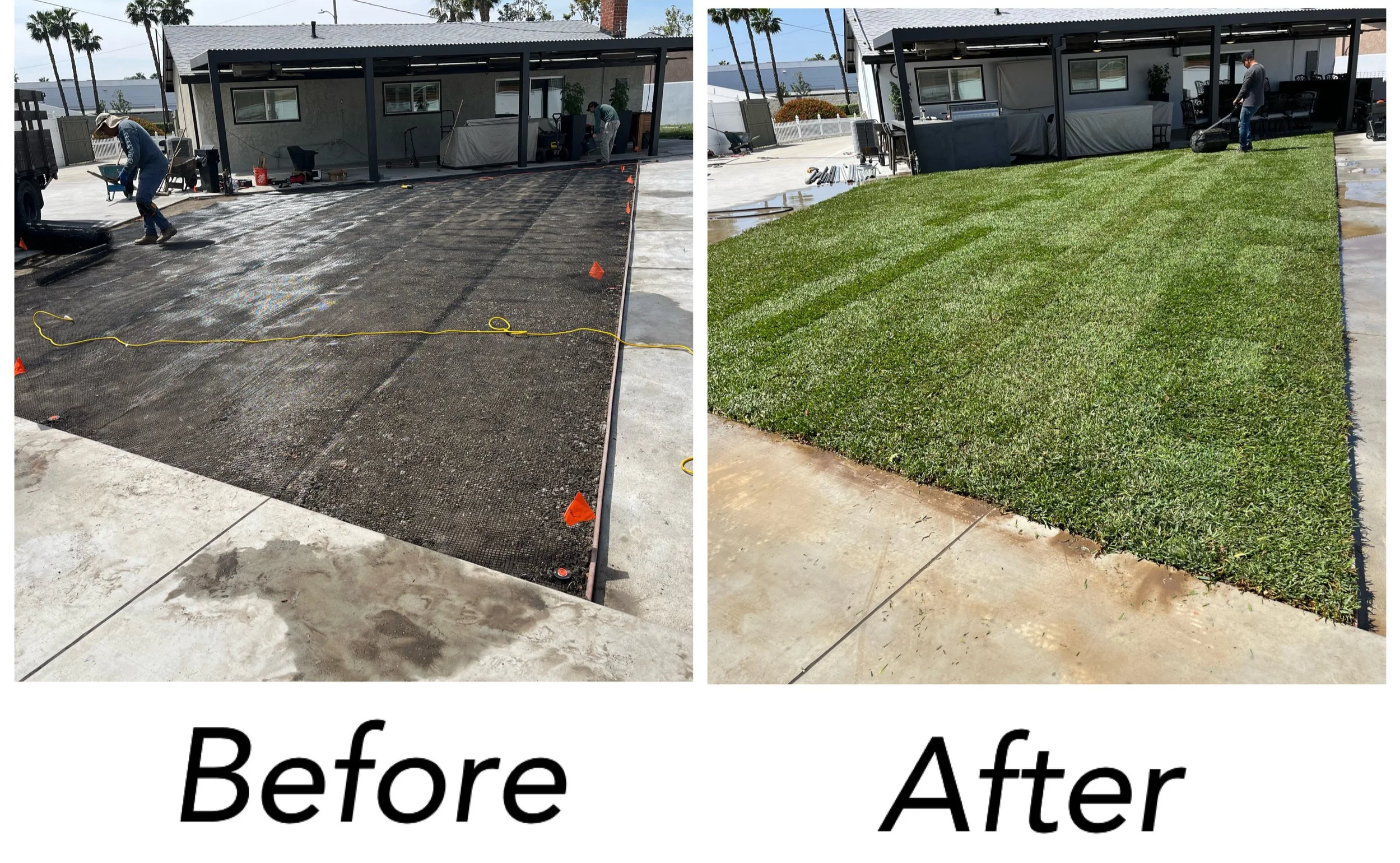 sod installation torrance