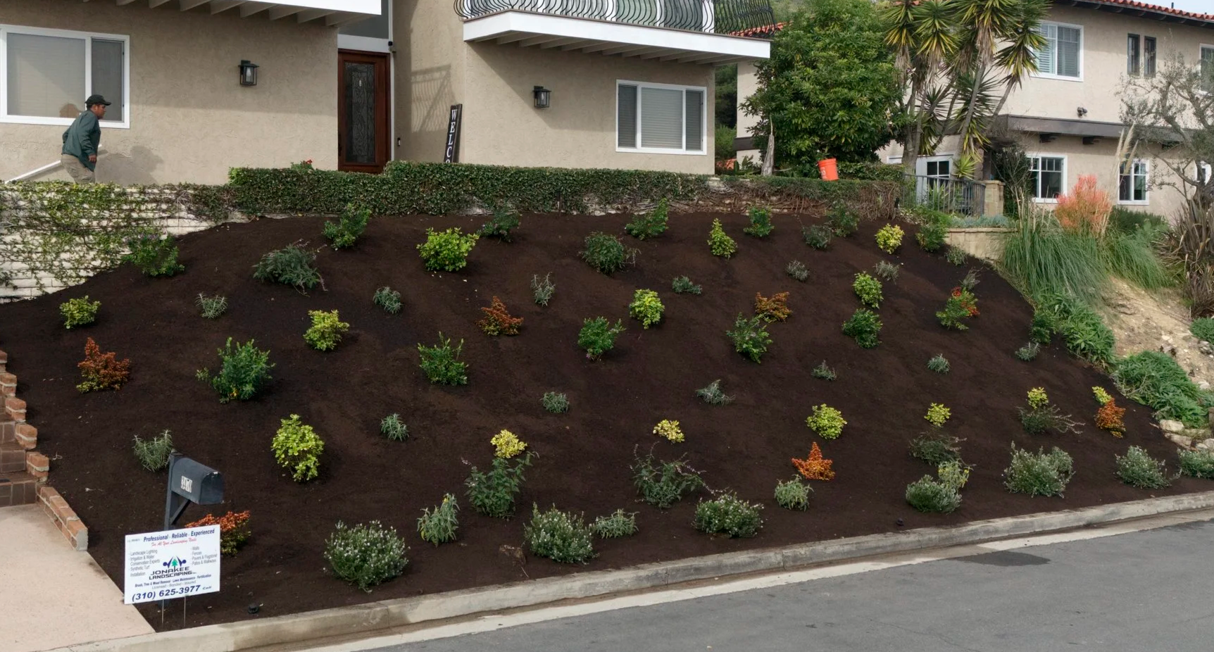 palos verdes front yard planting