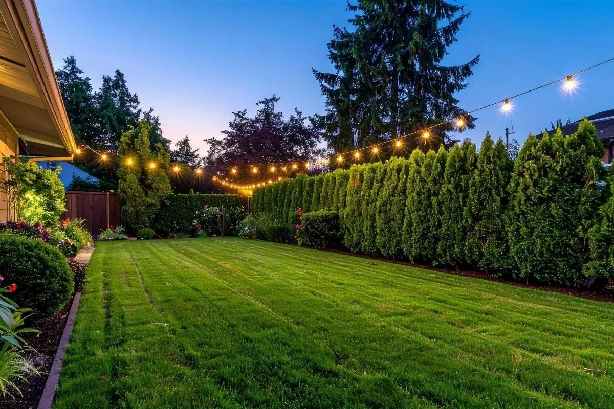 tree planting san pedro ca 90731