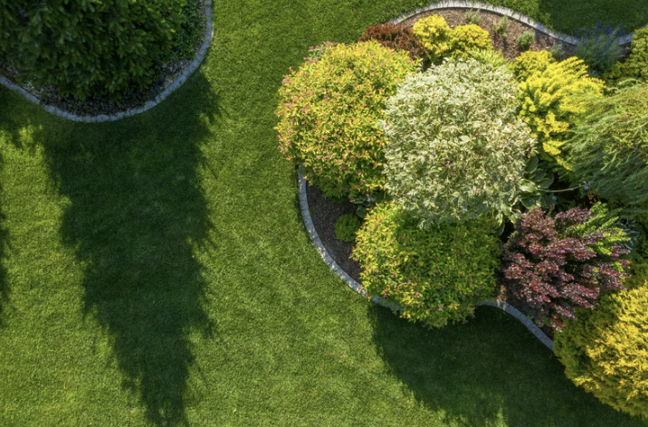 palos verdes tree planting