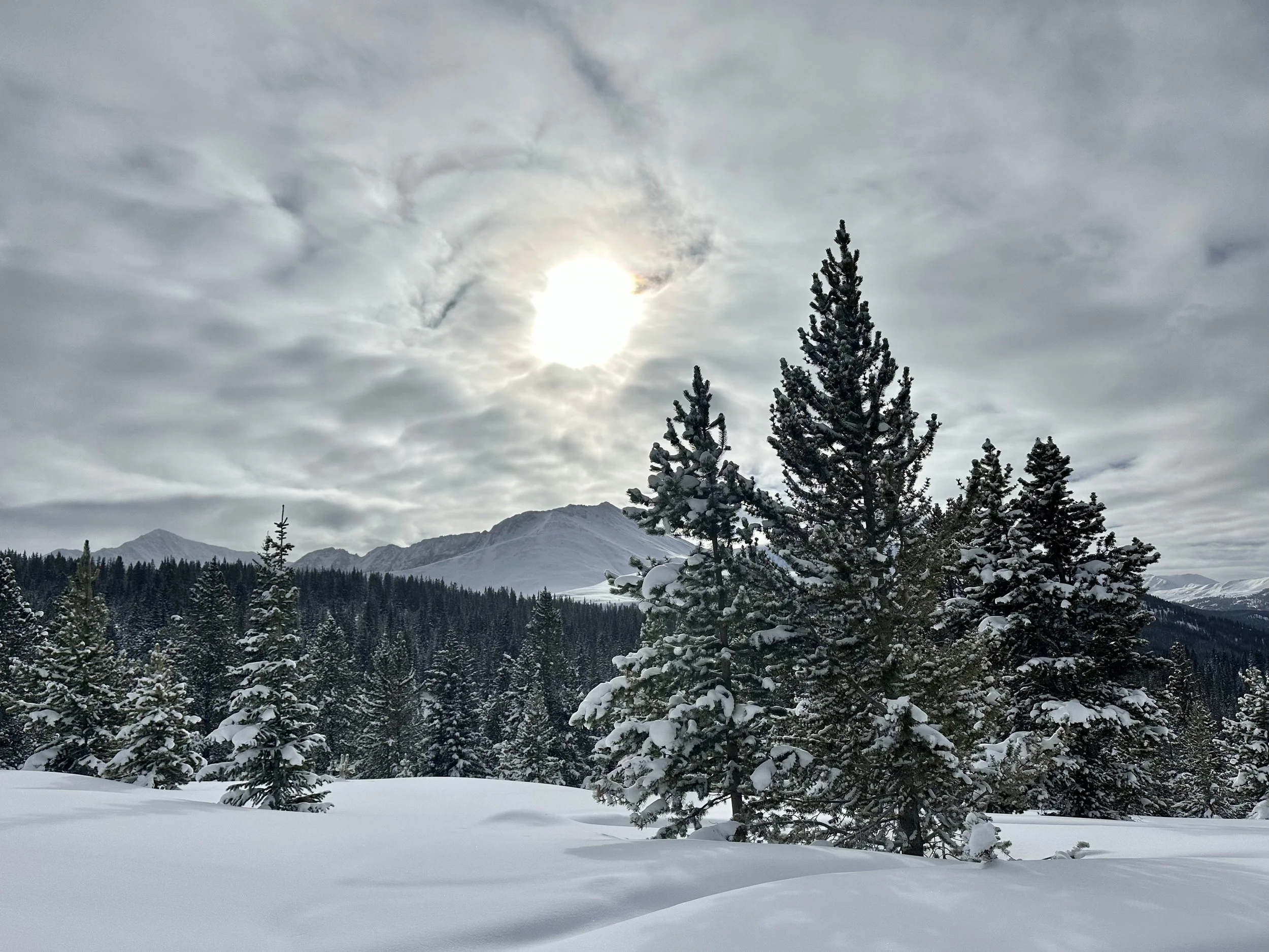 Snow-covered mountains and snow-covered pine trees with sun peeking through the clouds in the Chalk Creek snowmobile zone near Leadville, Colorado