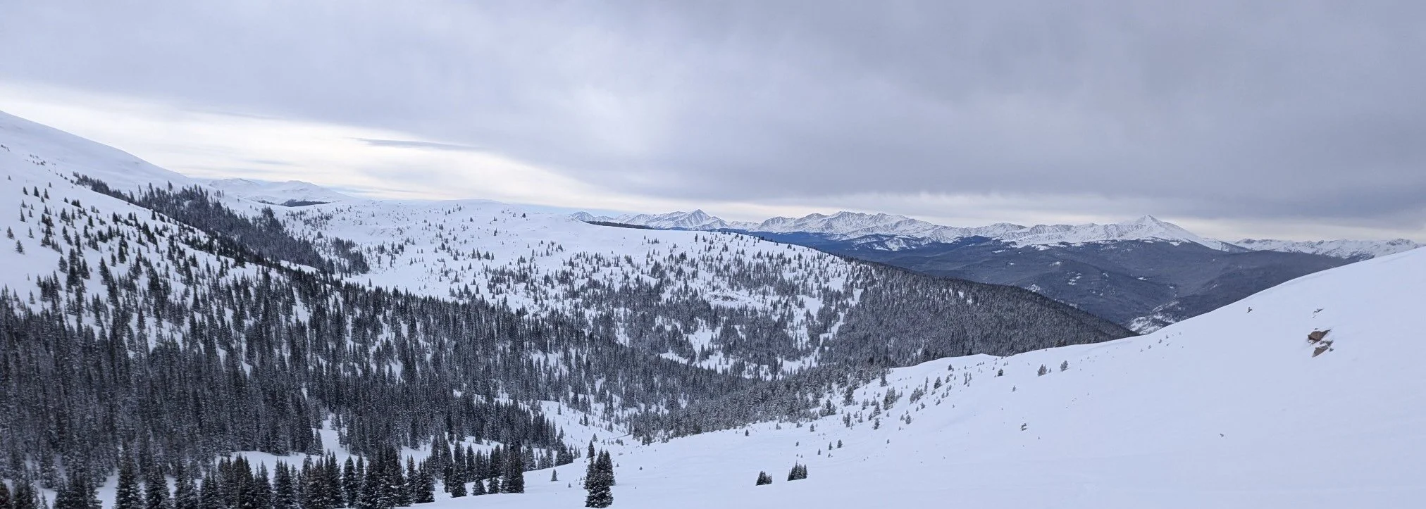 Snow-covered mountains dotted with frosted pine trees on a cloudy day - snowmobiling near Leadville at Camp Hale.