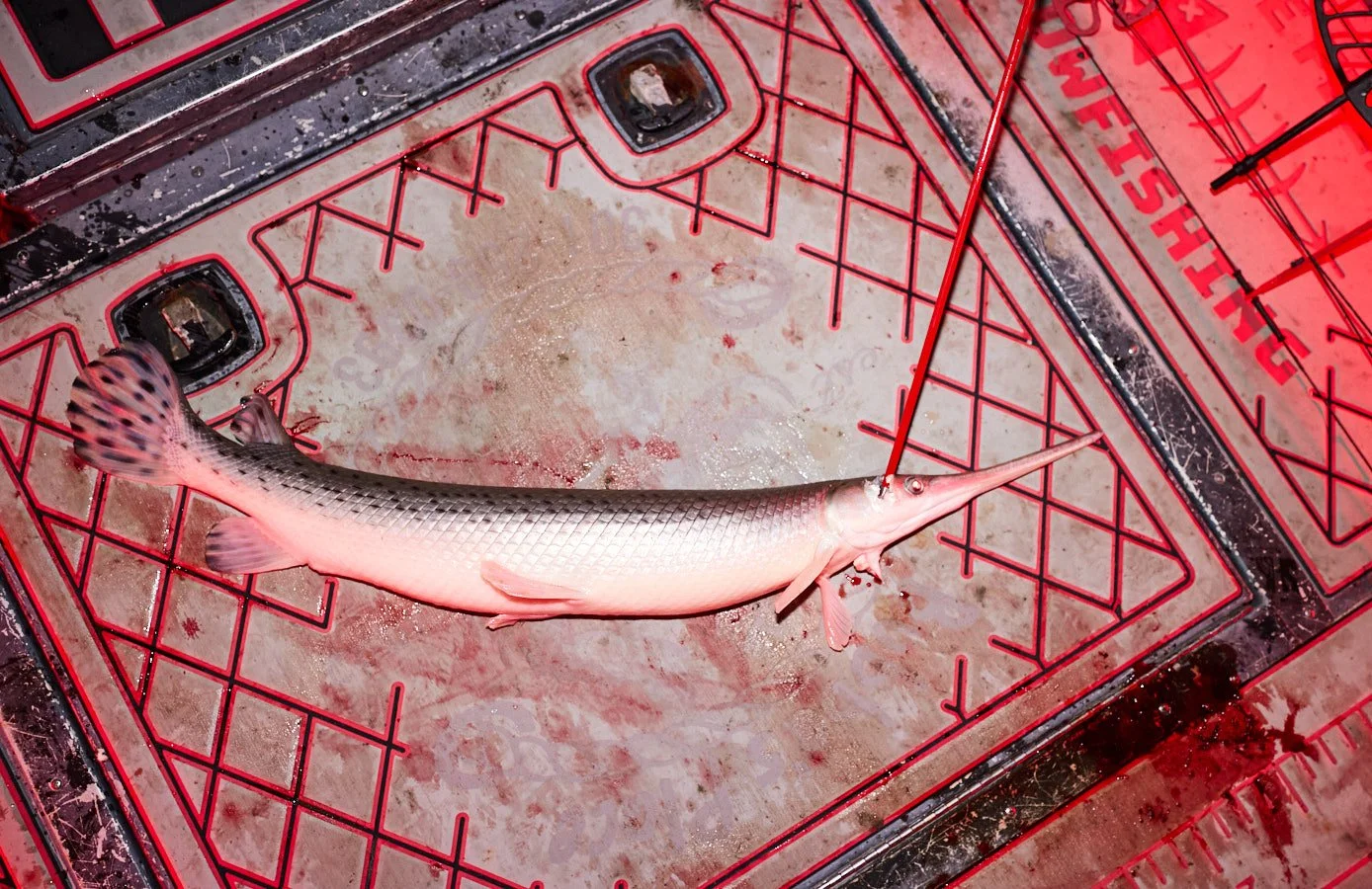 0715_Bowfishing__421.jpg