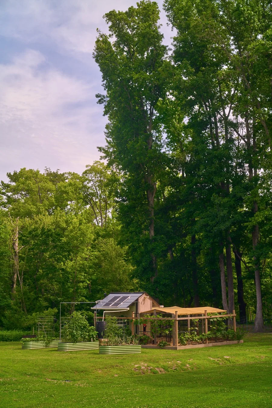0616_PawPawRidge_045.jpg
