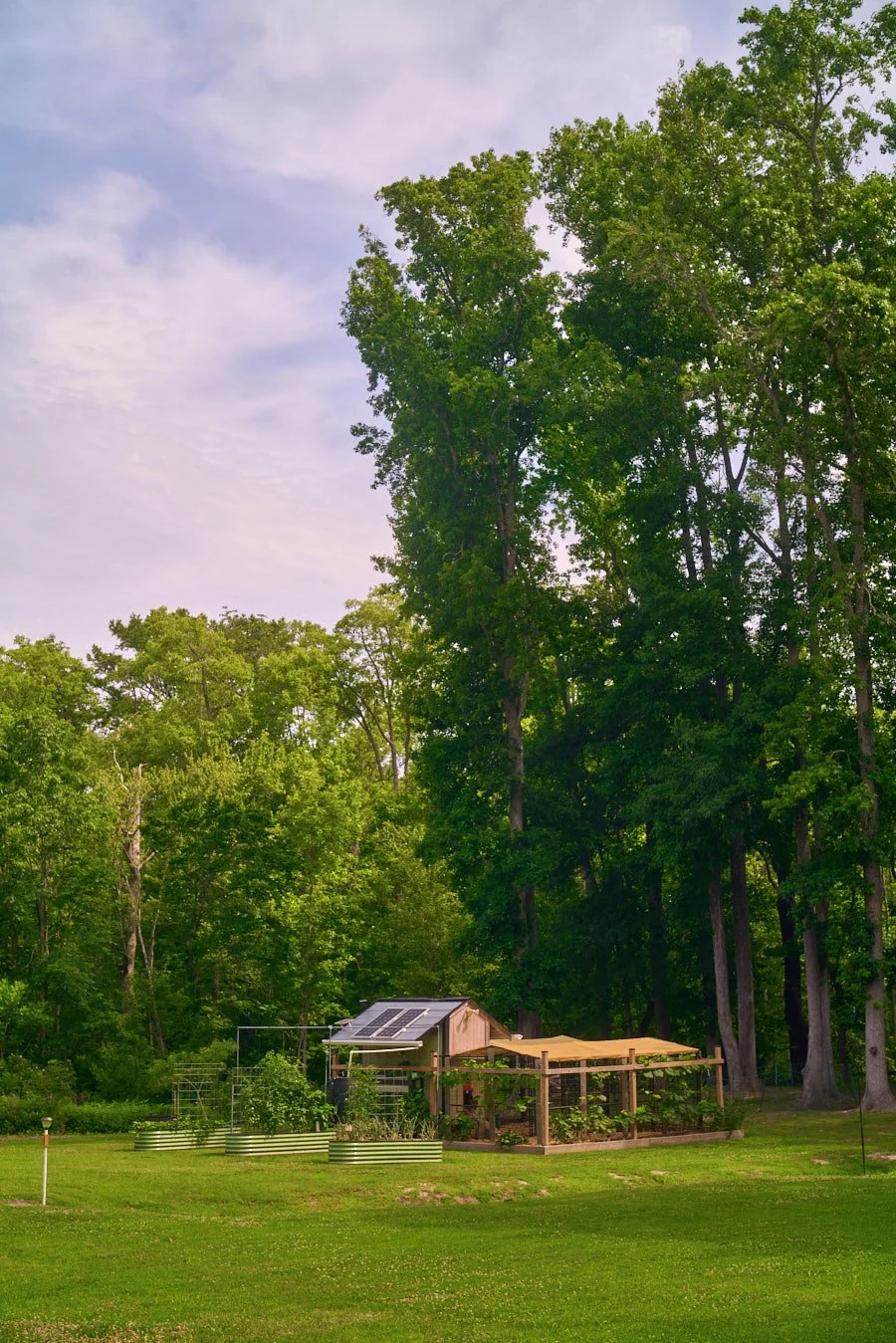 0616_PawPawRidge_042.jpg