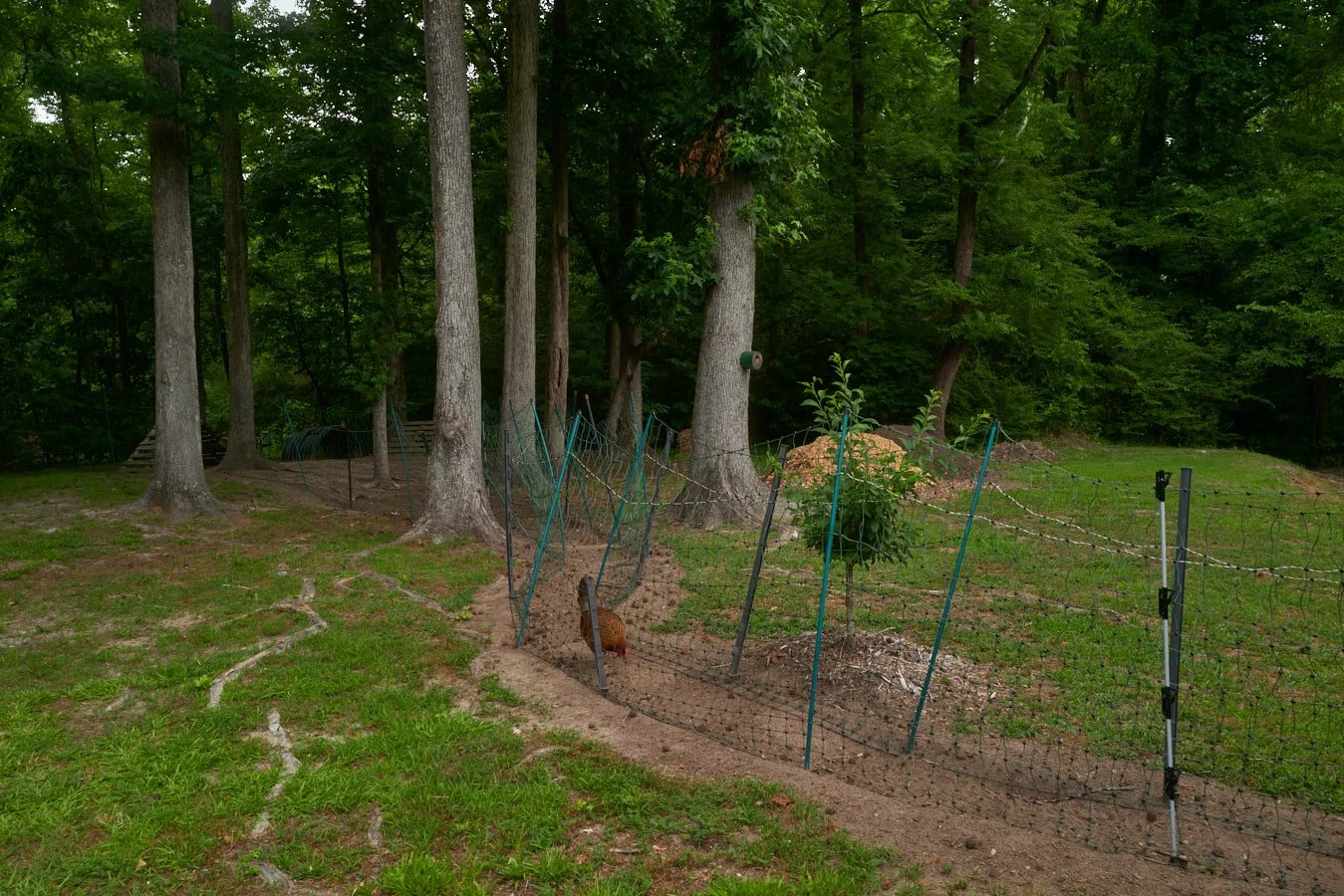 0616_PawPawRidge_114.jpg