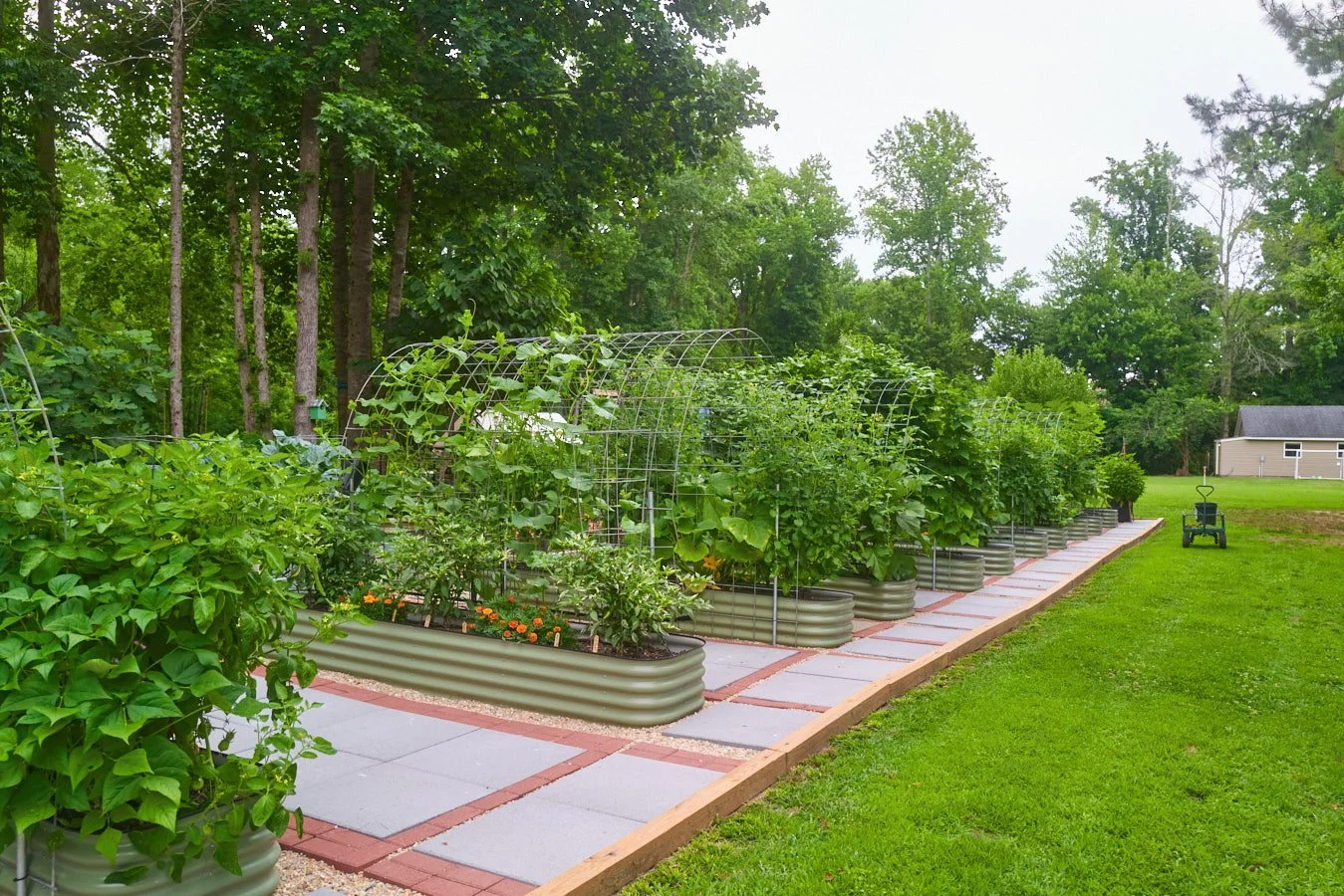 0616_PawPawRidge_078.jpg