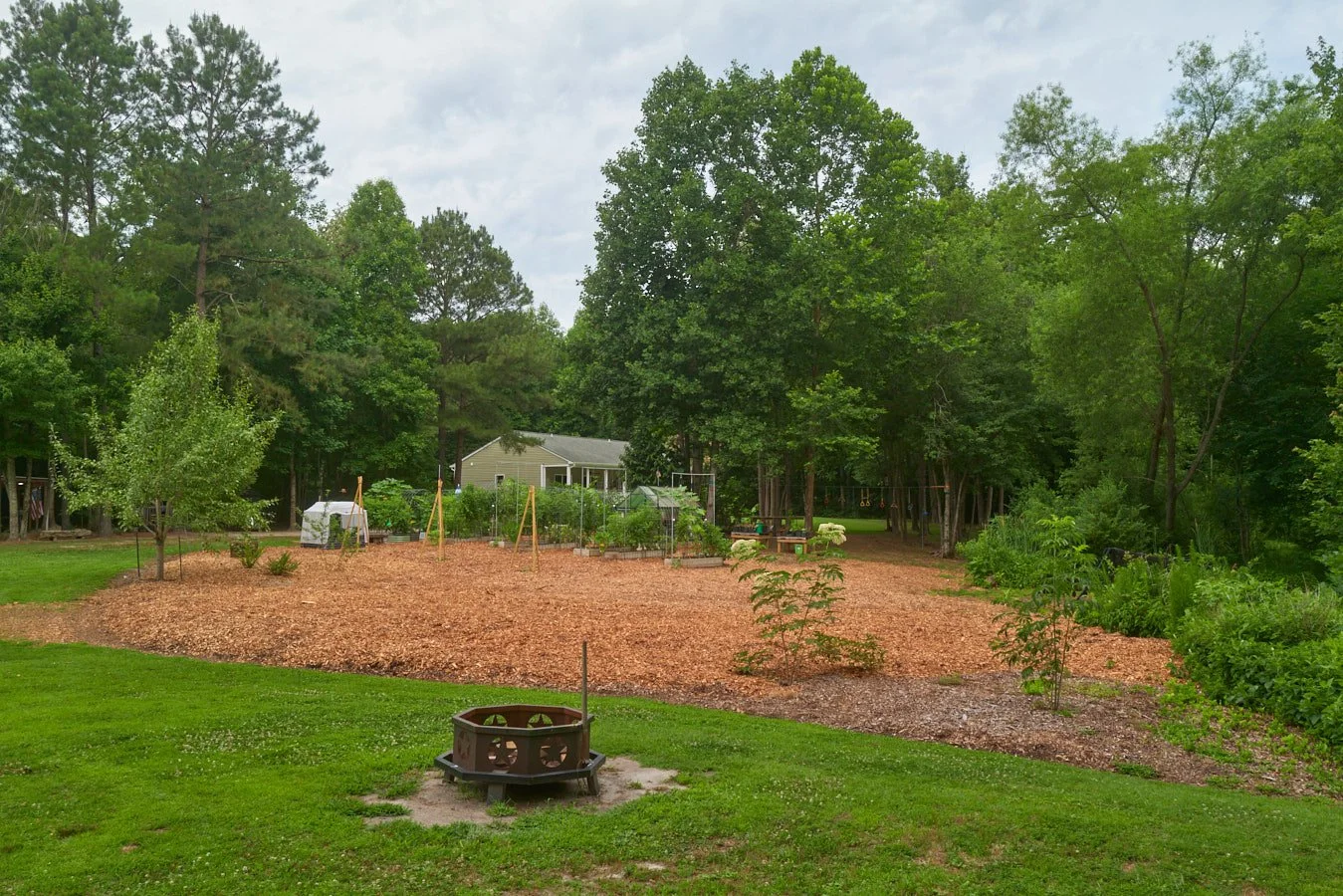 0616_PawPawRidge_113.jpg