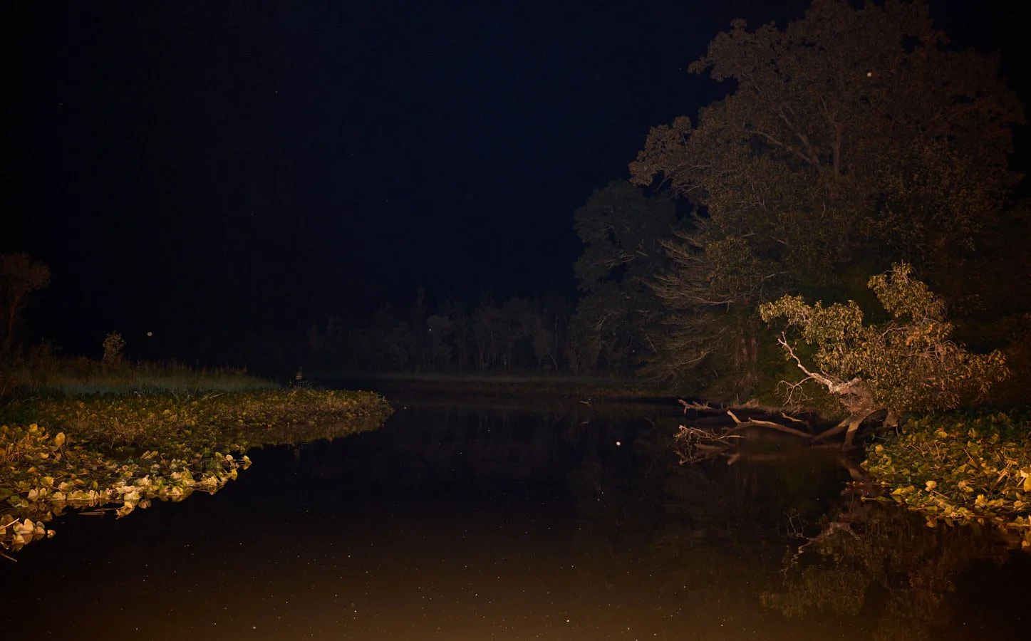 0715_Bowfishing__292.jpg