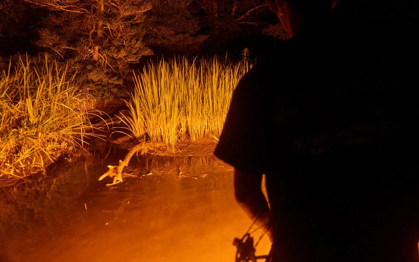 0715_Bowfishing__305.jpg