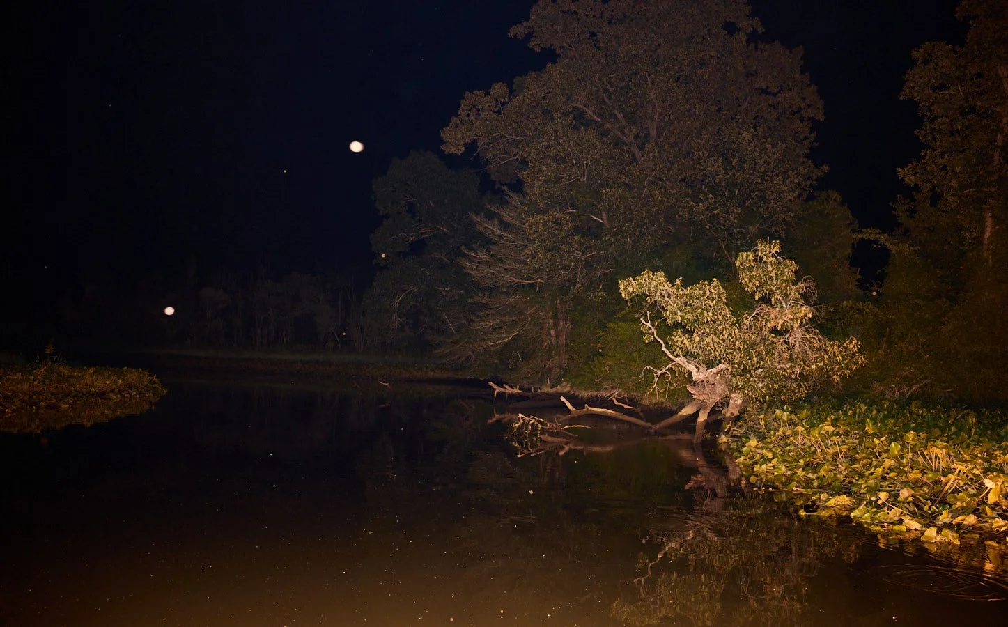 0715_Bowfishing__293.jpg