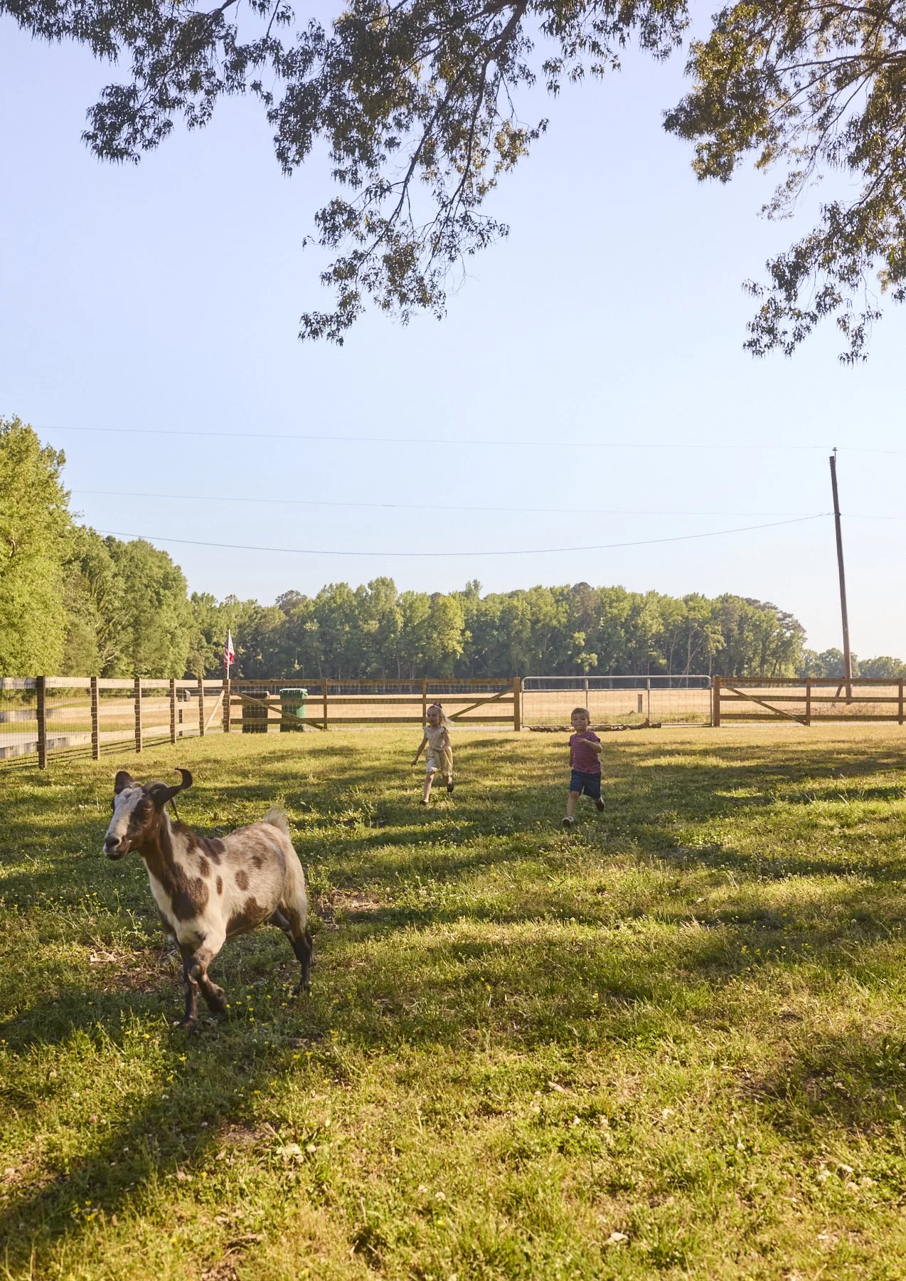 0510_Wakefield_172.jpg