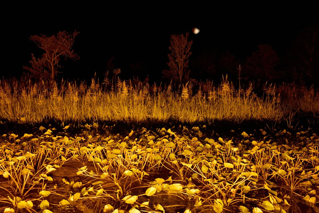 0715_Bowfishing__291.jpg