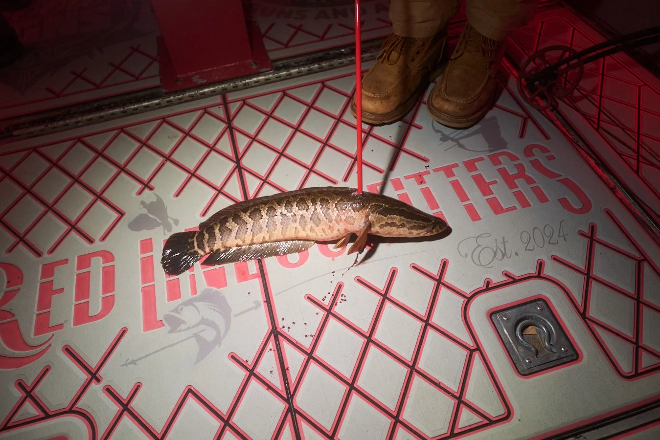 0715_Bowfishing__311.jpg