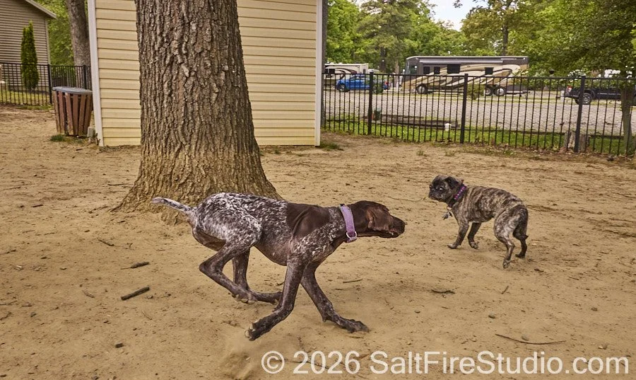 0509_StreamSideRVPark_166SM.jpg