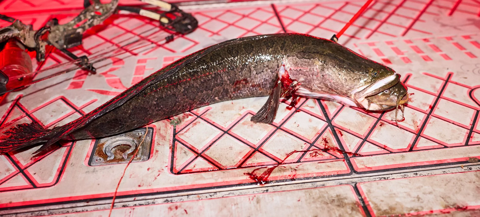 0715_Bowfishing__398.jpg
